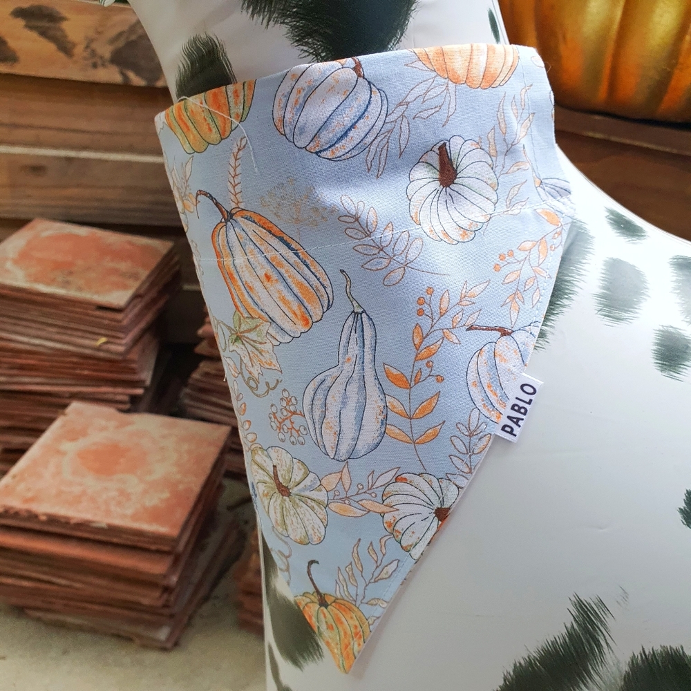 🐶 5 for $15 * Pablo Reversible Pumpkin Fall Autumn Cotton Dog Bandana - Picture 7 of 9